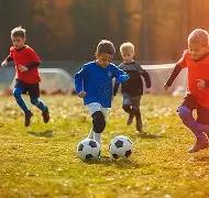 焦点速递,日上海盛大,启幕,亚博体育,亚博体育,Yabo,Sports,亚博体育官网