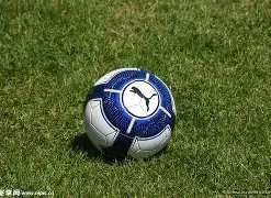 揭秘国足选,帅风云,拉巴迪亚逆,亚博体育,亚博体育,Yabo,Sports,亚博体育官网