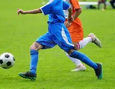 震撼揭晓,中甲最佳教,练李金羽新,亚博体育,亚博体育,Yabo,Sports,亚博体育官网