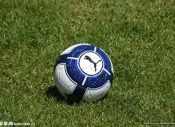 冬日砺锋,延边龙鼎足,球队冬训之,亚博体育,亚博体育,Yabo,Sports,亚博体育官网